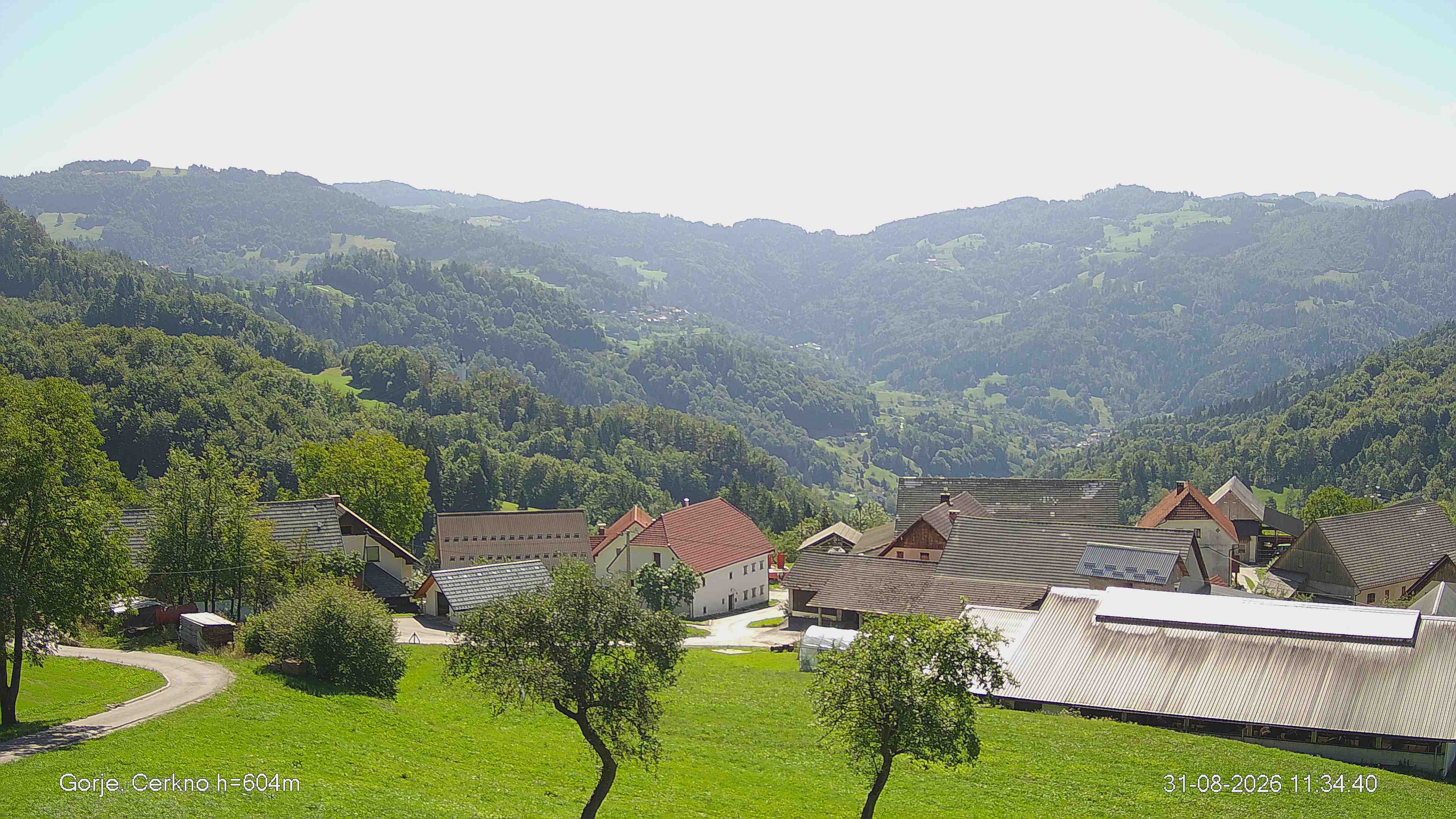 Gorje Live View