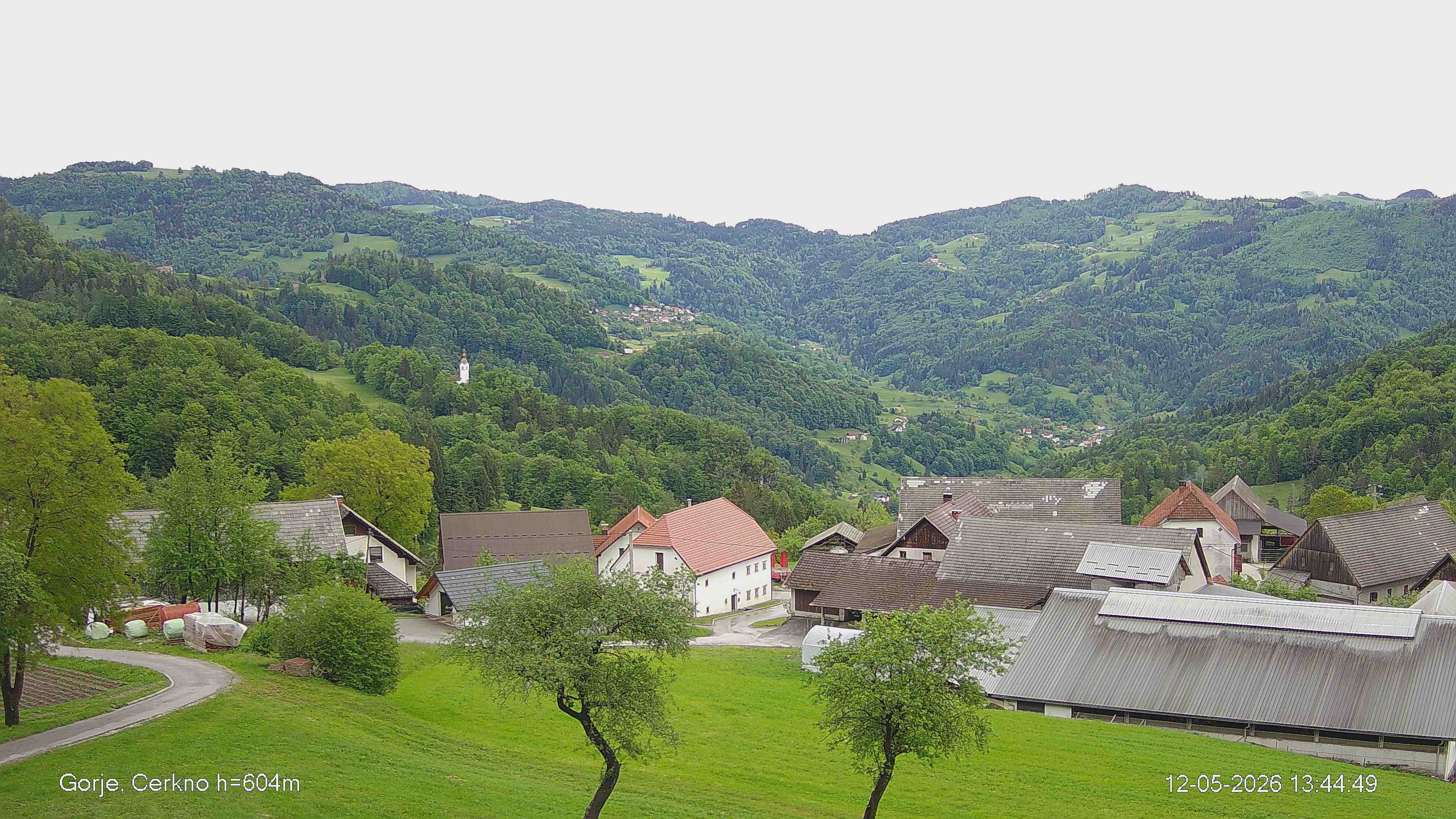 Gorje Live View